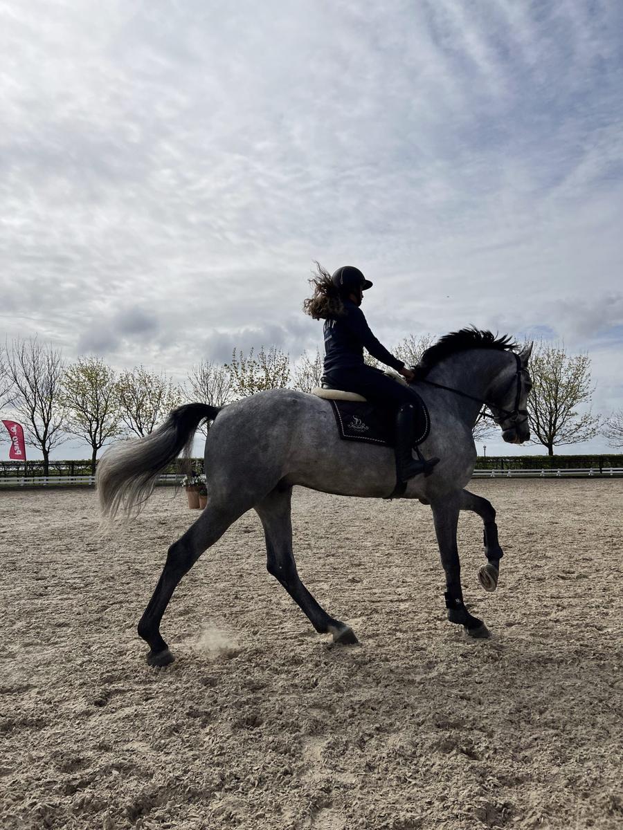 Rytter på skimmel i dressurarbeid